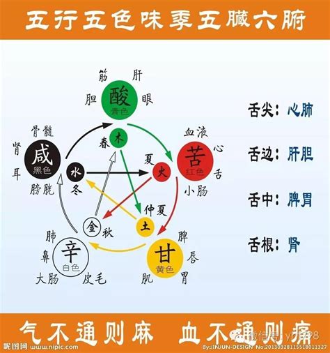 蓝色五行|蓝色在五行中属什么